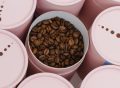 2026_06_14coffee139414